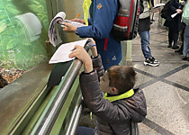 Уроки в зоопарке