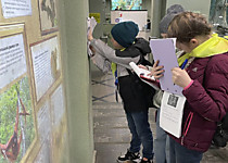 Уроки в зоопарке