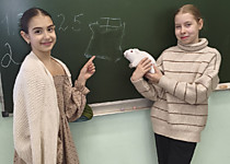 Шоколадная пятница